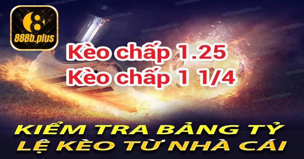 Kiểm tra bảng tỷ lệ kèo từ nhà cái